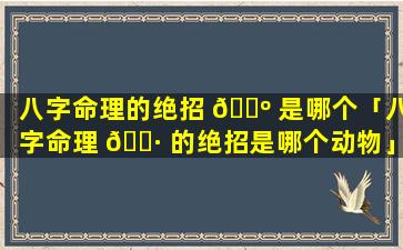 八字命理的绝招 🌺 是哪个「八字命理 🌷 的绝招是哪个动物」